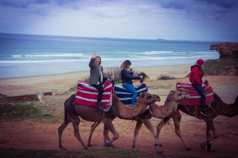 from-seville-tangier-day-trip-with-local-guide-and-lunch