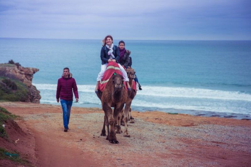 from-seville-tangier-day-trip-with-local-guide-and-lunch