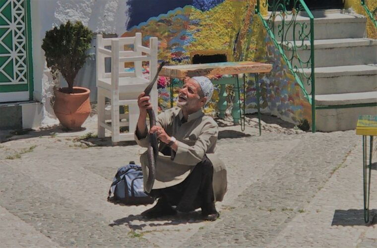 from-seville-tangier-day-trip-with-local-guide-and-lunch