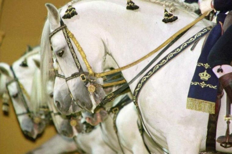 from-seville-tour-of-jerez-with-horse-show-wine-tasting