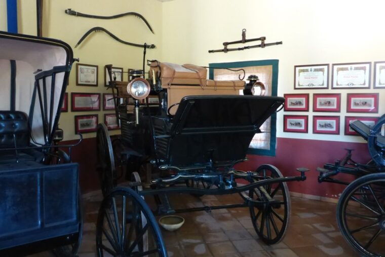 from-seville-tour-of-jerez-with-horse-show-wine-tasting