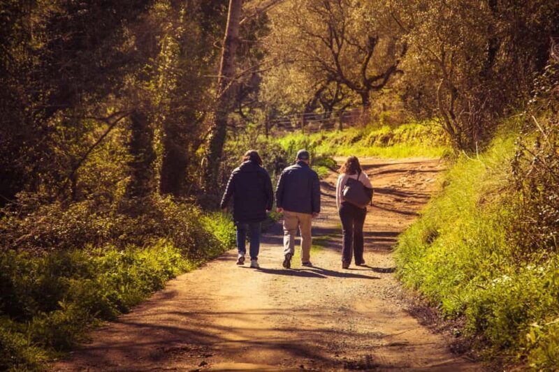 From Seville: White Villages of Huelva Private Full-Day Tour - Key Points