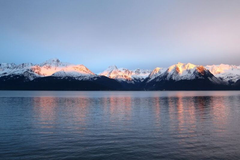 from-seward-half-day-resurrection-bay-wildlife-cruise-tour