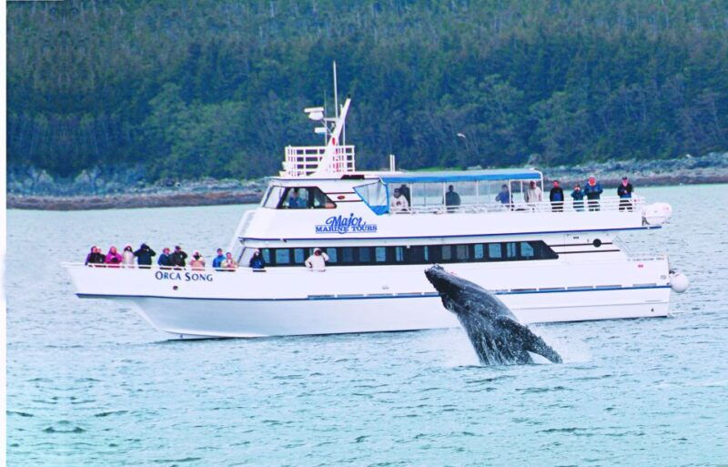 from-seward-half-day-resurrection-bay-wildlife-cruise-tour