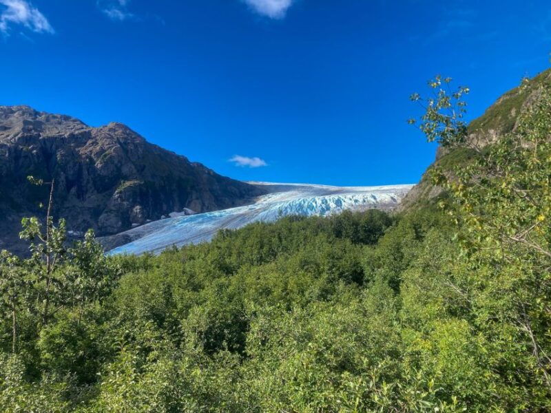 from-seward-harding-icefield-trail-hiking-tour