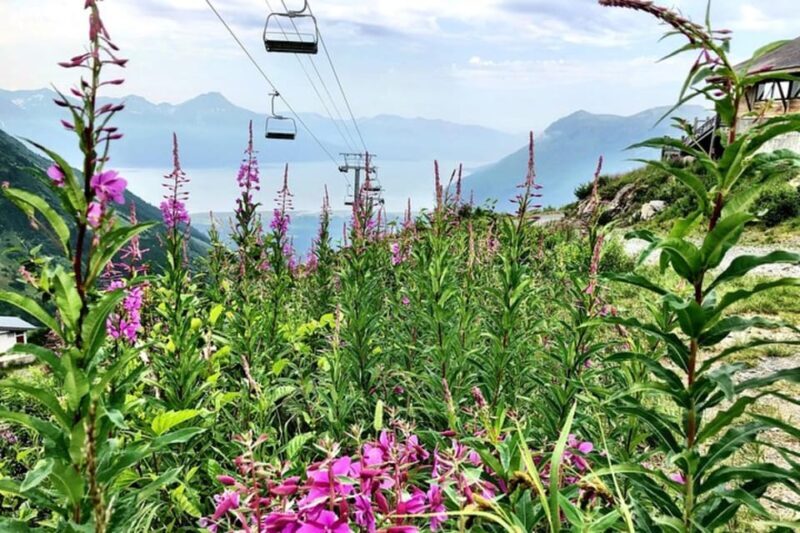 From Seward or Whittier: Guided Craft Tour and Ship Transfer - FAQ