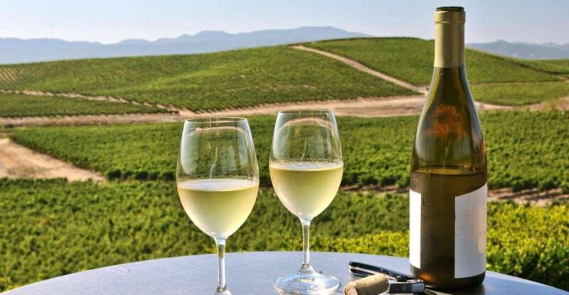 from-sfo-enchanted-napa-sonoma-wine-tour-in-suv