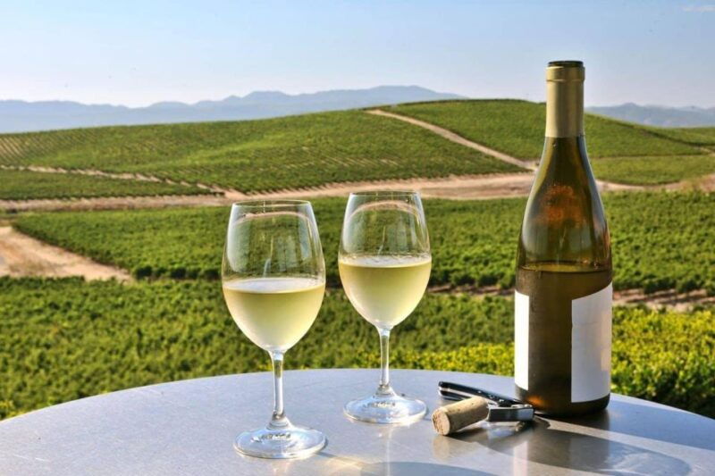 from-sfo-enchanted-napa-sonoma-wine-tour-in-suv