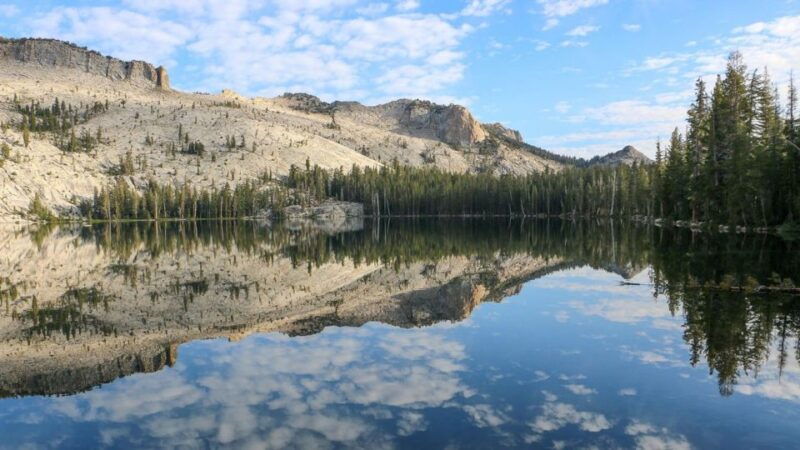 from-sfo-yosemite-national-park-enchanting-full-day-tour