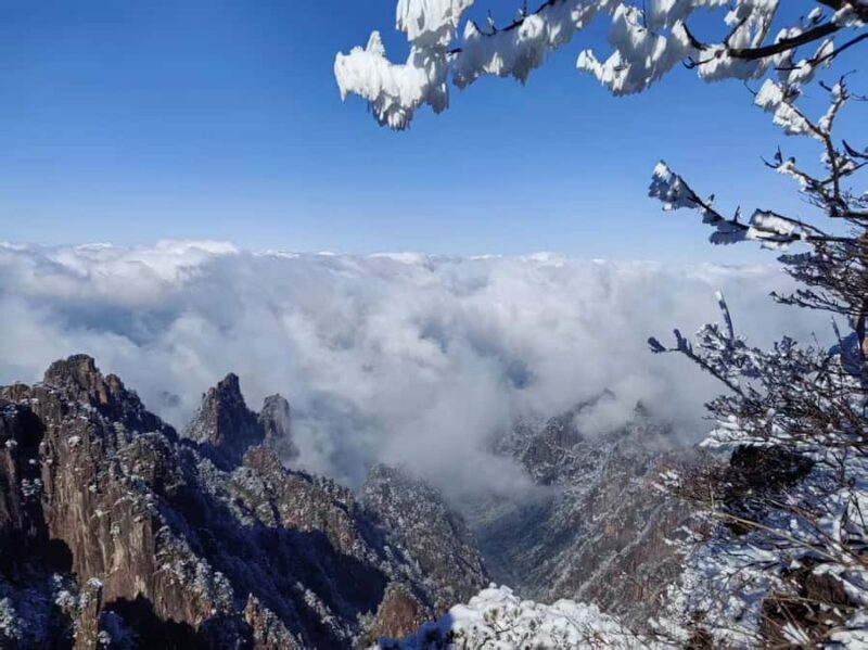 From Shanghai: Huangshan Private Day Trip by High-Speed Rail - Key Points