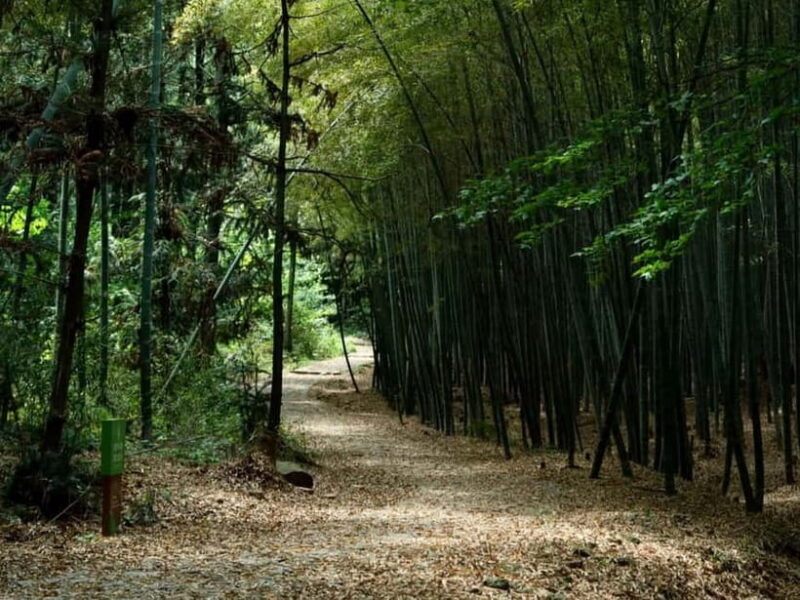 From Shanghai: Xiaoshao Ancient Road Journey - The Sum Up