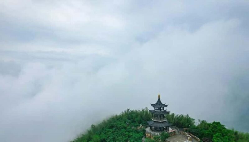 From Shanghai: Yixing Bamboo Sea and Zisha Pottery Day Trip - Key Points