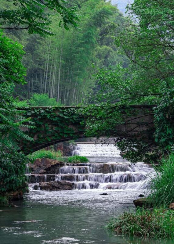 From Shanghai: Yixing Bamboo Sea and Zisha Pottery Day Trip - Why This Tour Offers Great Value