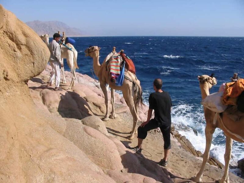 From Sharm: Dahab Day Trip with Desert Safari and Camel Ride - FAQ
