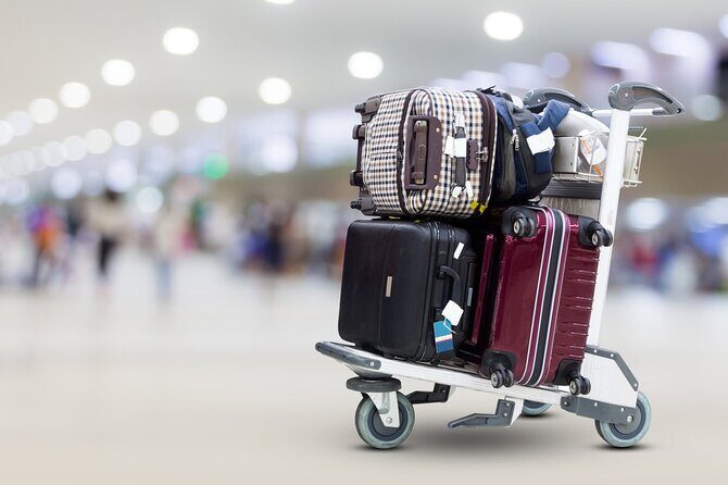 From Sharm El Sheikh Airport Private Transfer - Why You’ll Love This Transfer Service