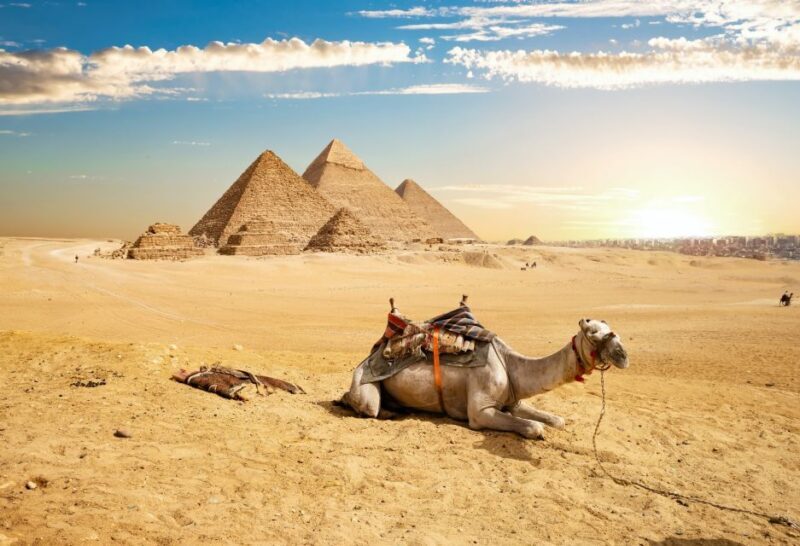 From Sharm El Sheikh: Cairo Private Day Trip by Plane - Who Would Love This Tour?