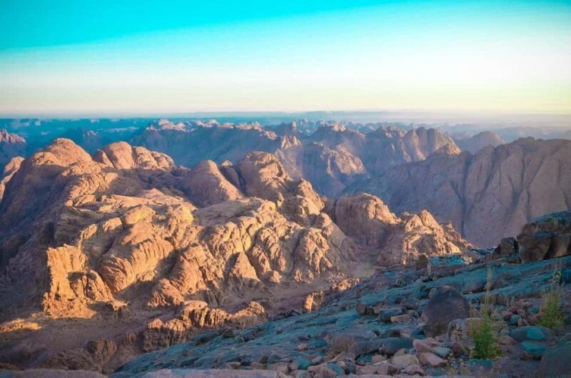 From Sharm-El-Sheikh: Day Trip to St. Catherine and Dahab - Practical Details and Tips