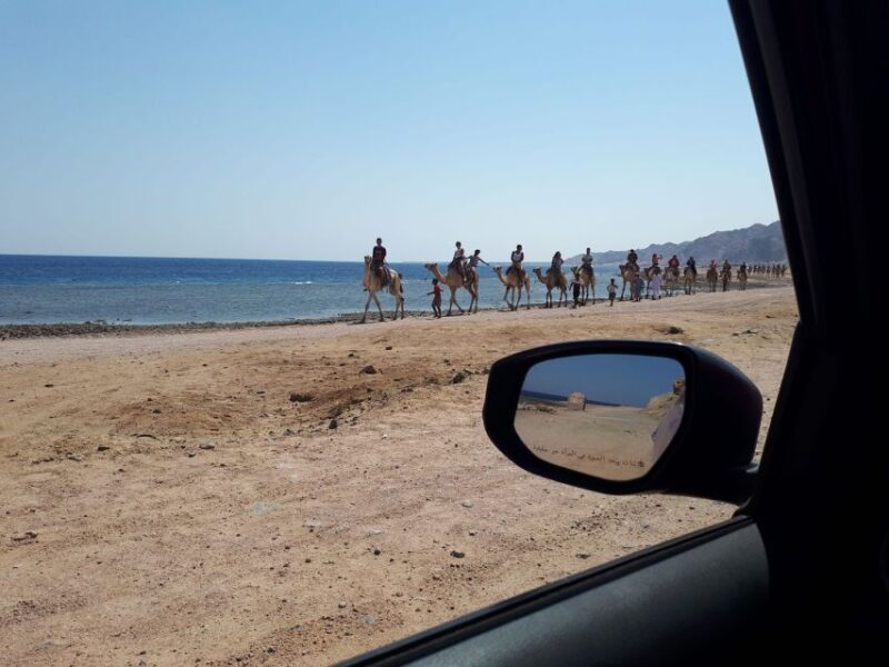 From Sharm El Sheikh: Full Day In Dahab with Snorkeling - A Day Well Spent: The Itinerary in Detail