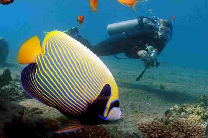 From Sharm El Sheikh: Full Day In Dahab with Snorkeling - Authentic Experiences and Traveler Insights