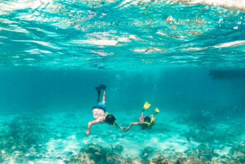 From Sharm El Sheikh: Snorkeling Tour to Ras Mohamed by Bus - An In-Depth Look at the Snorkeling Adventure