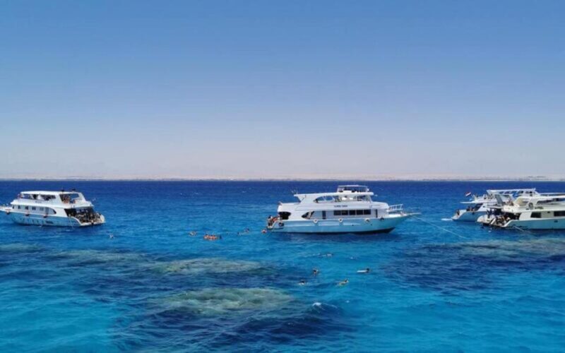 From Sharm El Sheikh: Snorkeling Tour to Ras Mohamed by Bus - FAQs
