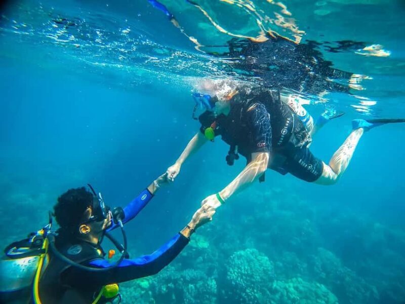 From Sharm: Luxury Diving cruise to Ras Mohammed with Lunch - Who Will Enjoy This Tour?
