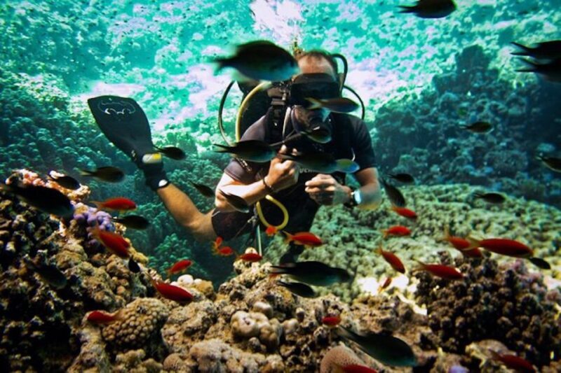 From Sharm or Dahab: Blue Hole & Canyon Sea Dive Experience - Insights from Reviewers