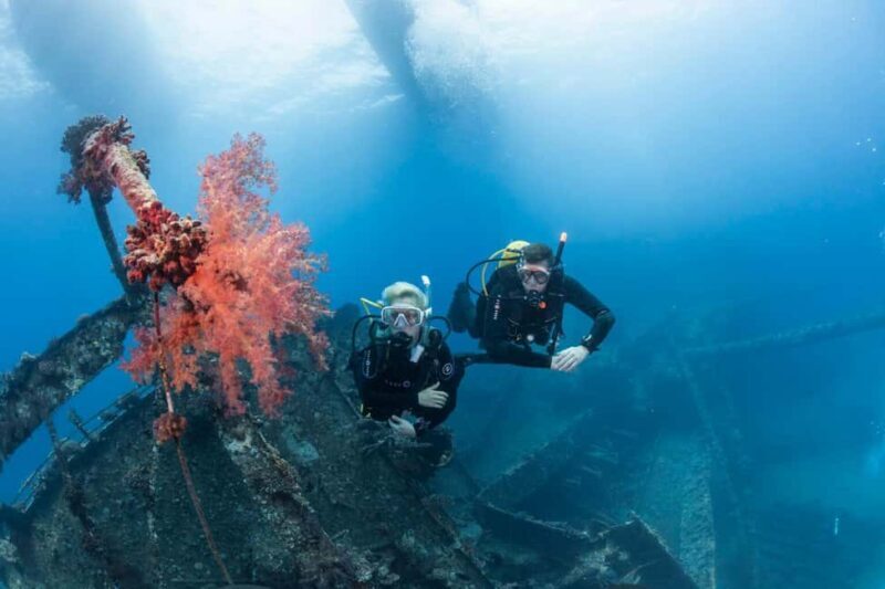 From Sharm or Dahab: Blue Hole & Canyon Sea Dive Experience - Who Should Consider This Tour?