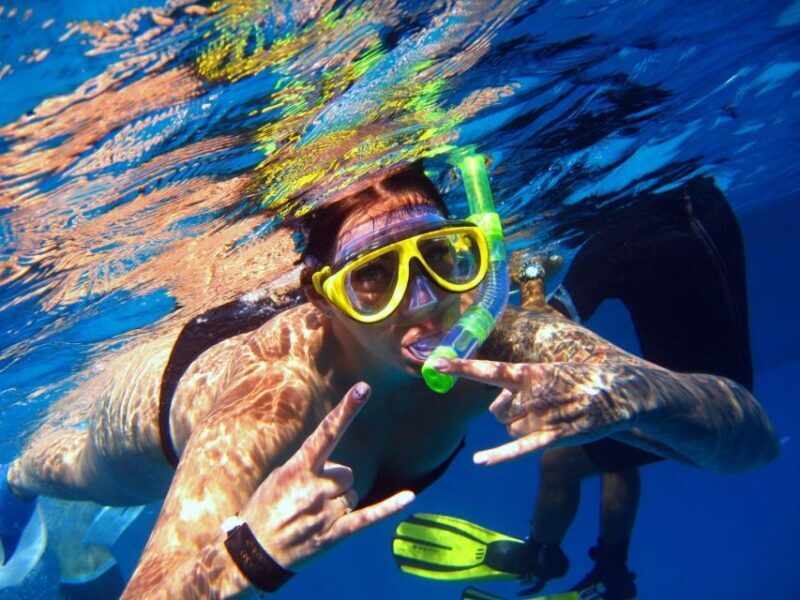 From Sharm: Ras Mohammed snorkeling cruise & optional diving - An Itinerary Designed for Relaxed Exploration and Marine Beauty