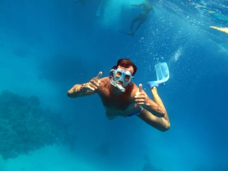 From Sharm: Ras Mohammed snorkeling cruise & optional diving - What the Reviews Tell Us