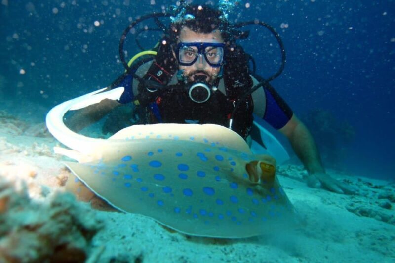 From Sharm: Ras Mohammed snorkeling cruise & optional diving - FAQ