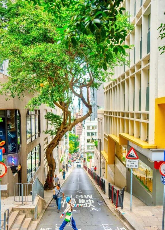 From Shenzhen: Hong Kong Heritage, Skyline & Harbour View - An In-Depth Look at the Tour Experience