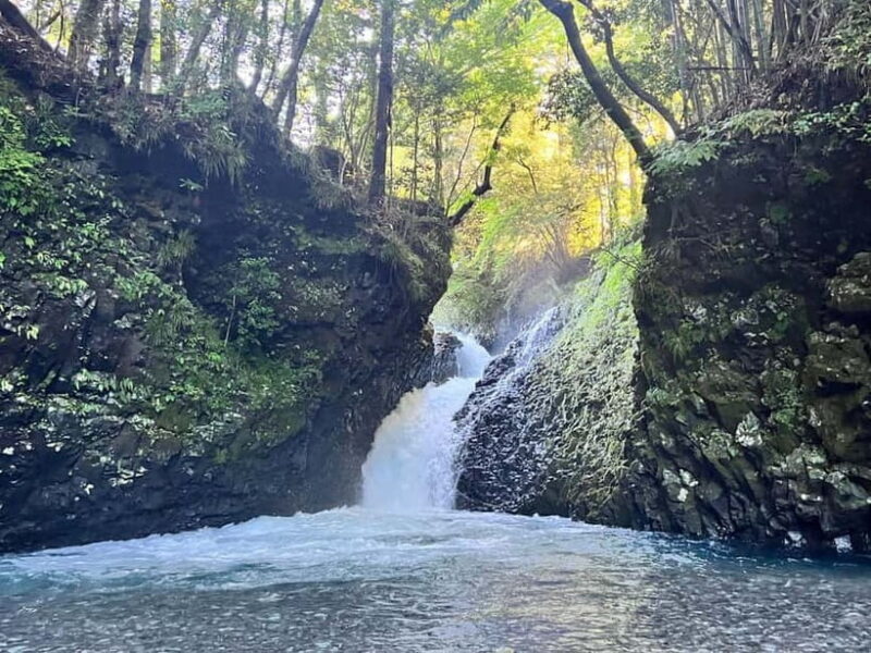 From Shinfuji: Fuji Nature Tour with Guide and Vehicle - Discovering the Quiet Side of Mt. Fuji: A 6-Hour Private Adventure  
