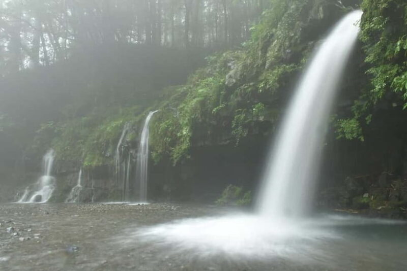 From Shinfuji: Fuji Nature Tour with Guide and Vehicle - Final Thoughts  