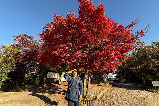 From Shinjuku:Mt.Takao Hike,Temple & Onsen with Samurai Guide Sho - Key Points