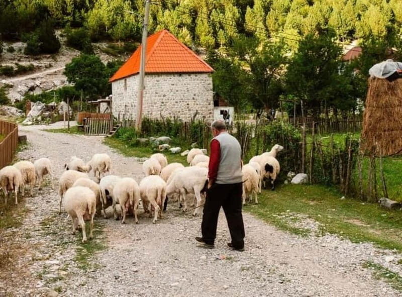 From Shkodra: Theth & Blue Eye day tour - FAQ