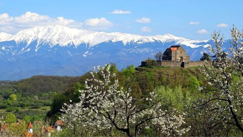 From Sibiu: Blue Line & City Tour Sighisoara - UNESCO - Key Points