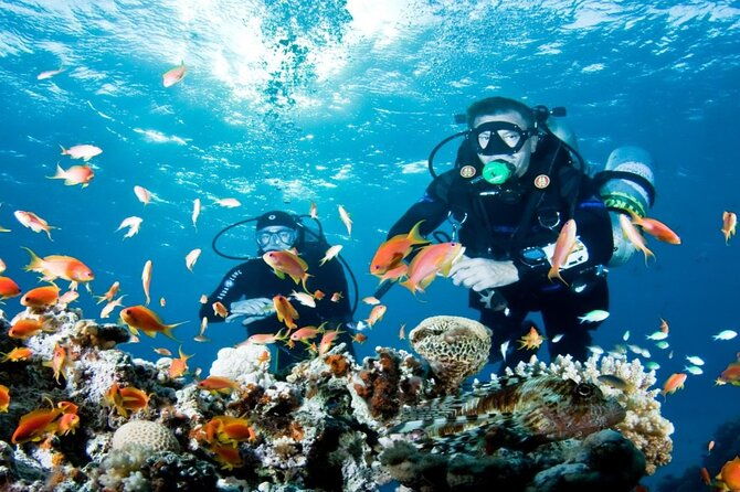from-side-alanya-scuba-diving-with-2-time-dive-lunch