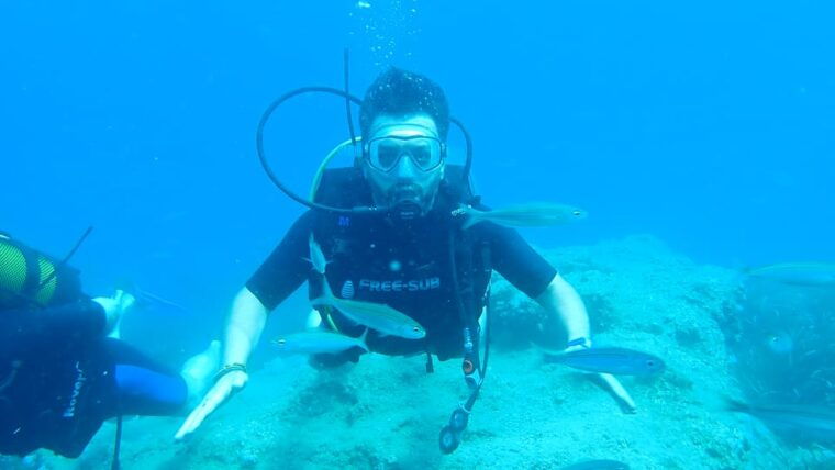 from-side-guided-scuba-diving-in-alanya-w-lunch-transfer