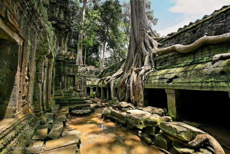 from-siem-reap-angkor-wat-sunrise-small-group-tour