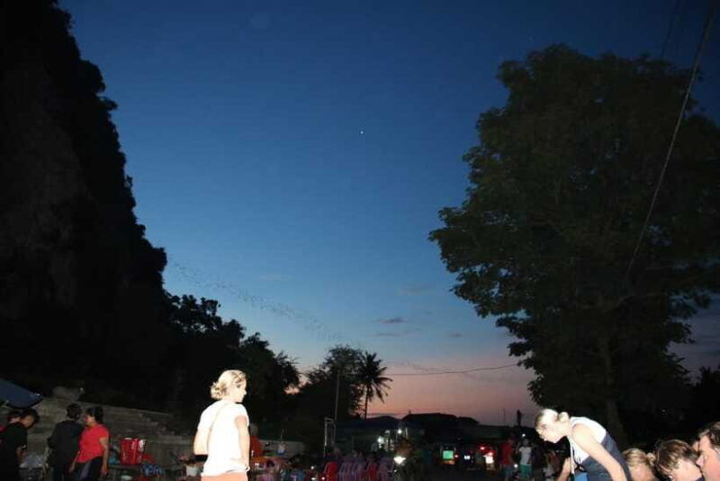 from-siem-reap-battambang-full-day-tour-with-bamboo-train