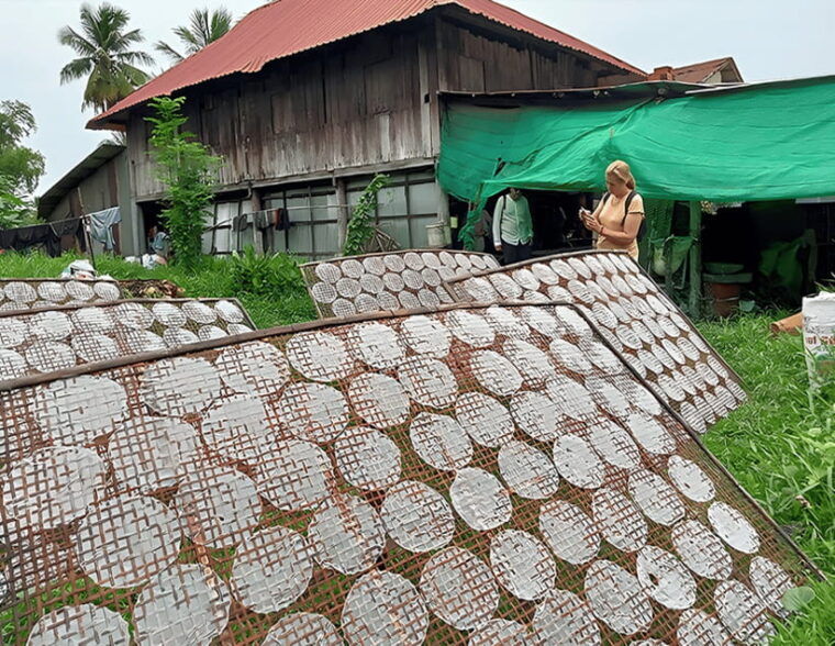 from-siem-reap-battambang-full-day-tour-with-bamboo-train