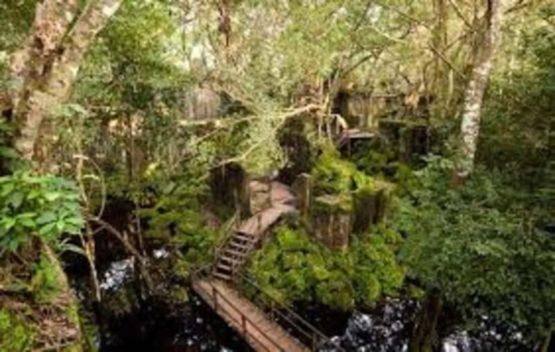 From Siem Reap: Beng Mealea and Kamphong Phluk Day Tour - The Tour Breakdown: From Jungle Ruins to Waterway Wonders  