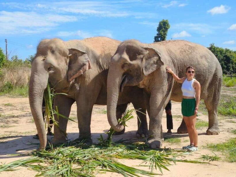 from-siem-reap-elephant-sanctuary-experience-with-transfers