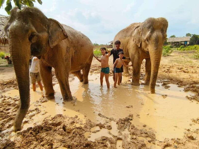 from-siem-reap-elephant-sanctuary-experience-with-transfers
