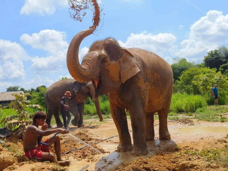 from-siem-reap-elephant-sanctuary-experience-with-transfers