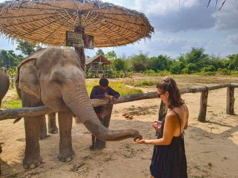 from-siem-reap-elephant-sanctuary-experience-with-transfers