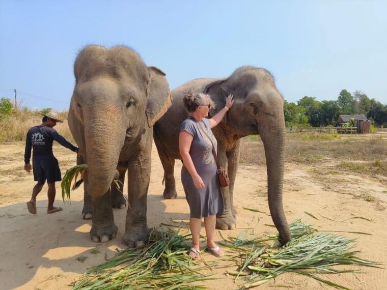 from-siem-reap-elephant-sanctuary-experience-with-transfers