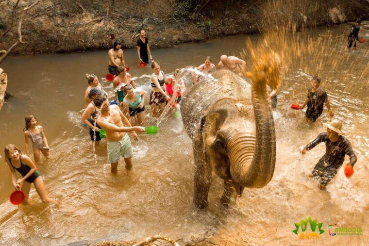 from-siem-reap-elephant-sanctuary-experience-with-transfers