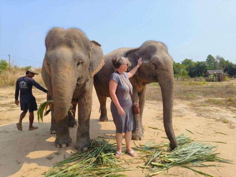 from-siem-reap-elephant-sanctuary-experience-with-transfers
